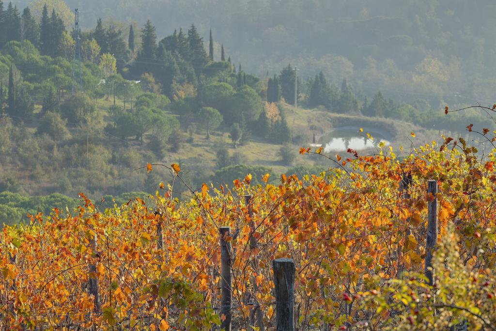 Agriturismo La Presura Strada in Chianti Extérieur photo