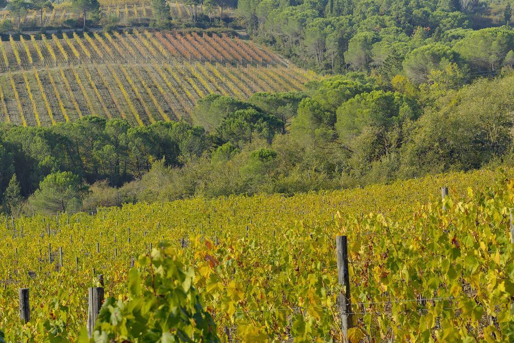 Agriturismo La Presura Strada in Chianti Extérieur photo