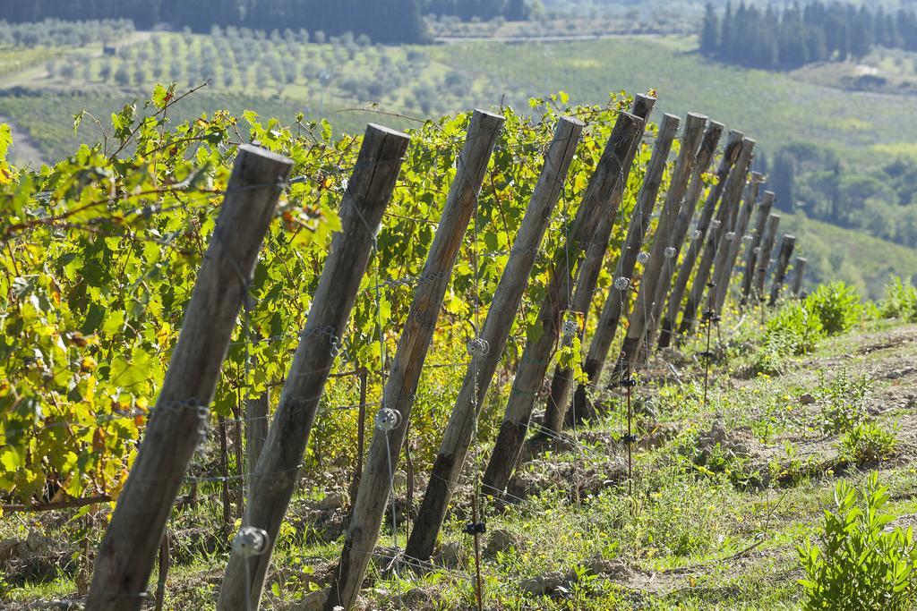 Agriturismo La Presura Strada in Chianti Extérieur photo
