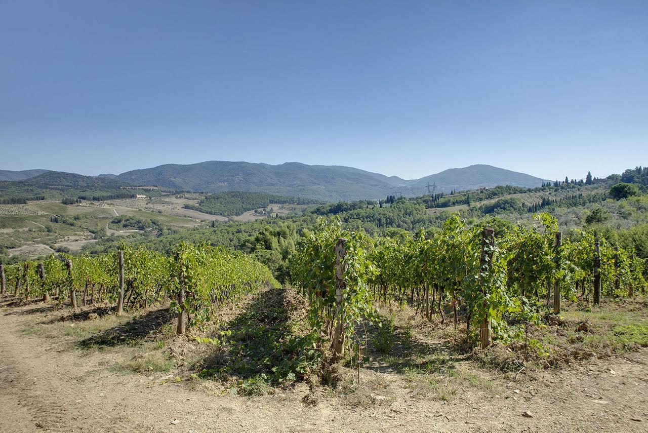 Agriturismo La Presura Strada in Chianti Extérieur photo